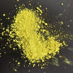 Sophora Japonica Extract Factory - 98% Quercetin Powder