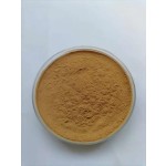 Mushroom Blend Powder Factory - Lion's Mane Reishi Cordyceps
