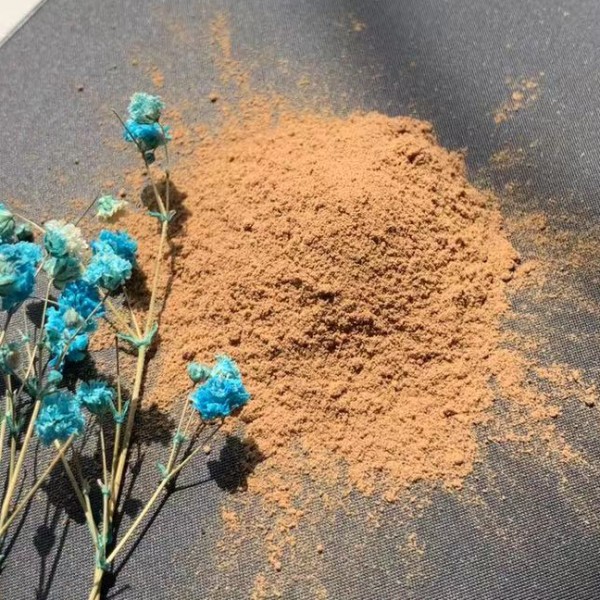 Chaga Mushroom Extract Supplier - 20 Years Factory Low Price