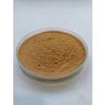 Mushroom Blend Powder Factory - Lion's Mane Reishi Cordyceps