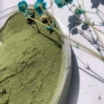 Matcha Powder Manufacturer - Organic Green Tea Ice Cream