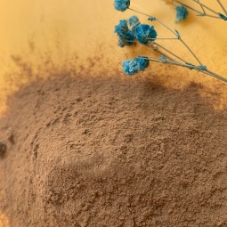 Tribulus Terrestris Extract Manufacturer - 90% Saponins Powder