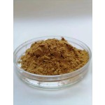 Ginseng Extract Powder Supplier - 10:1 Root Extract Bulk