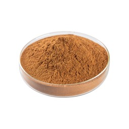 Shiitake Mushroom Extract Manufacturer - 10%-50% AHCC Food Grade