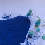 Phycocyanin Powder Supplier - Blue Spirulina Extract E25