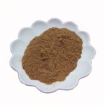 Gastrodin Powder Factory - 5% Tian Ma Extract