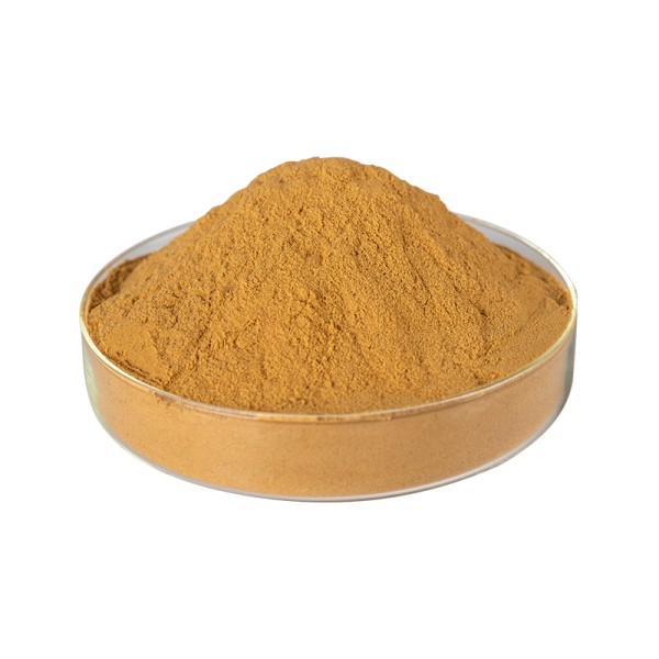 Ginkgo Biloba Extract Supplier - 100% Natural Herbal Leaf