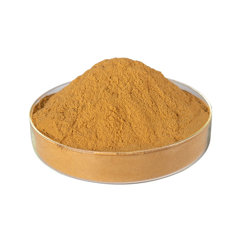 Ginkgo Biloba Extract Supplier - 100% Natural Herbal Leaf