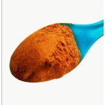 Coenzyme Q10 Powder Factory - USP42 99% Food Grade