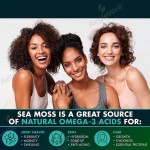 OEM Vegan Sea Moss Capsules With Black Seed Oil, Ashwagandha & Black Pepper for Adults