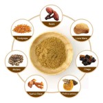 OEM Private Label Mushroom Supplements 7 in 1 Mushroom Blend Powder Mushroom Powder