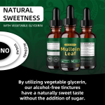 OEM Natural Lung Cleanse Detox Mullein Leaf Extract Drops Mullein Chlorophyll Liquid Supplement For Respiratory System Support