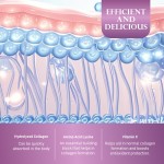 Hot Sale Collagen Full of Blueberry - Skin Care Healthy Food Original  Collagen Jelly Stick