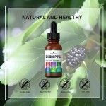 Wholesale AegleWell Private Label Natural Chlorophyll Drops Energy Boost Immune Support Chlorophyll Liquid Drops for Skin