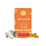 OEM Private Label Health Supplements Food Grade Mushroom Extract Powder gummies Ahcc Powder gummies
