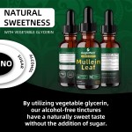 AegleWell OEM Mullein Leaf Drops Liquid Health Supplement Natural Lung Cleanse Detox Mullein Extract Drops