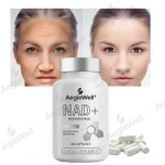 OEM Pure Resveratrol Nicotinamid Mononucleotide NAD Capsules Wholesale Price Booster Dietary Supplements Nad Capsules