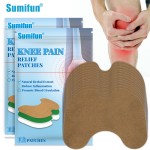 Pain Patch Supplier - Chinese Knee Back Pain CE Certified
