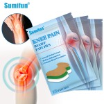 Pain Patch Supplier - Chinese Knee Back Pain CE Certified