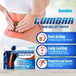 Lumbar Pain Patch Factory - Herbal Muscle Joint Relief