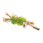 Nettle Root Extract Factory - 100% Pure Urtica Dioica Powder