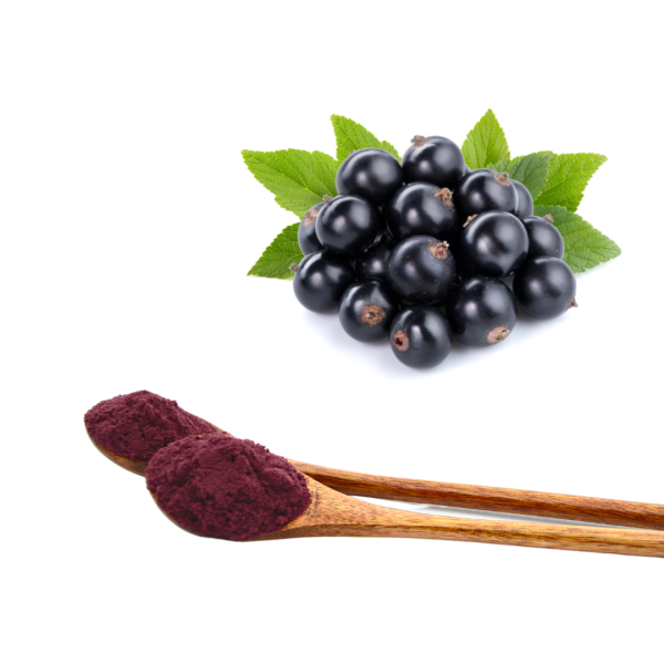 Black Currant Extract Factory - Vitamin C Anthocyanins Rich
