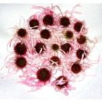 Reishi Mushroom Extract Supplier - Food Grade GMP Certified