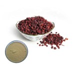 Schisandra Extract Factory - Berry Powder UV Tested