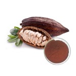 Cocoa Extract Powder Supplier - 100% Theobromine Raw Material