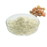 Boswellia Extract Factory - Boswellic Acid Joint Health