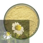 Breviscapine Powder Supplier - 98% Erigeron Breviscapus