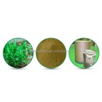 Rosemary Extract Factory - Ursolic Acid Powder Hot Selling