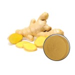 Ginger Root Extract Factory - Water Soluble Powder Supplement