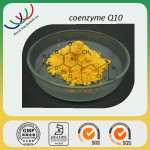 Coenzyme Q10 Supplement Supplier - Heart Care Energy Enhancement