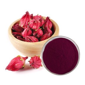 Hibiscus Extract Manufacturer - Hibiscus Sabdariffa Tea