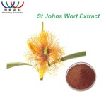 Red Sorghum Extract Factory - Plant Based Color Extract