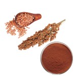 Procyanidin B2 Supplement Supplier - Plant Based Nutrient