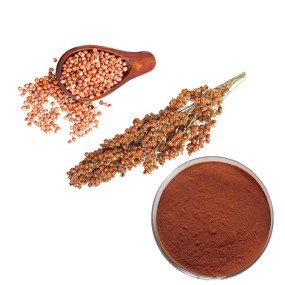 Procyanidin B2 Supplement Supplier - Plant Based Nutrient