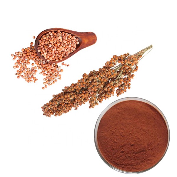 Procyanidin B2 Supplement Supplier - Plant Based Nutrient