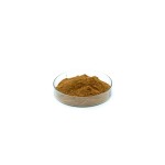 Dandelion Root Extract Supplier - Root Powder Factory Supply