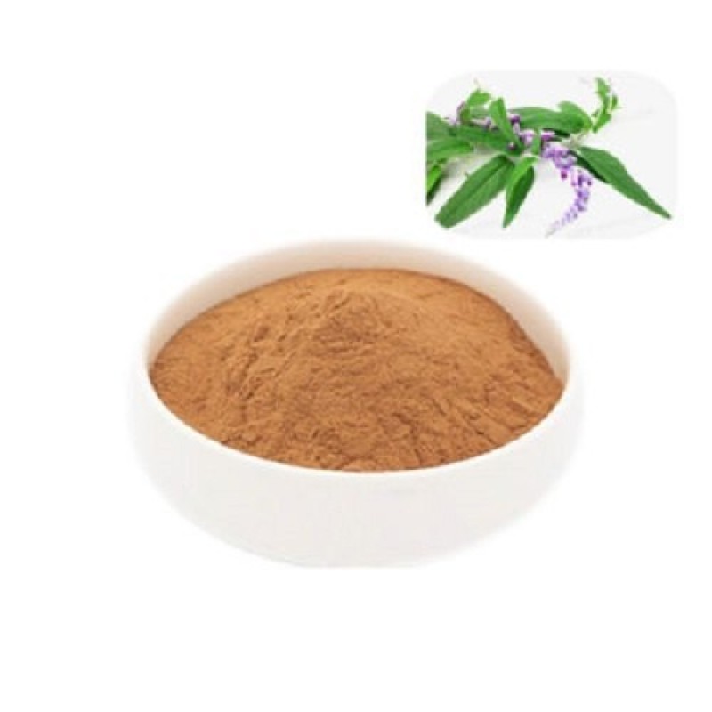 Sage Leaf Extract Manufacturer - 10:1 Salvia Officinalis Powder