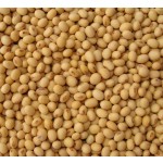 Garcinia Cambogia Extract Supplier - Pure HCA Fruit Powder