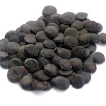 Griffonia Seed Extract Factory - 5-HTP Powder Vegetation