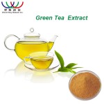 Green Tea Extract Factory - 98% Polyphenols 50% EGCG