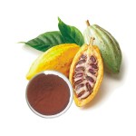 Cocoa Extract Powder Supplier - 100% Theobromine Raw Material
