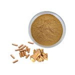 Maca Extract Powder Factory - Supplement Raw Material Bulk