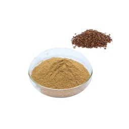 Cassia Seed Extract Manufacturer - Semen Cassiae Powder Bulk