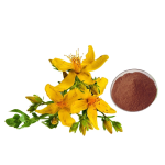 St Johns Wort Extract Supplier - 0.3% Hypericin Water Extract