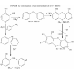 Spirulina Extract Supplier - Organic Superfood Powder Bulk