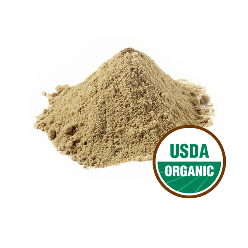Bacopa Extract Supplier - 50% Bacosides Monnieri Powder